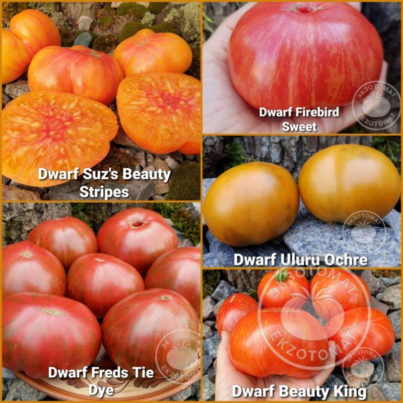 Набор: "Лучший салатный Гном"