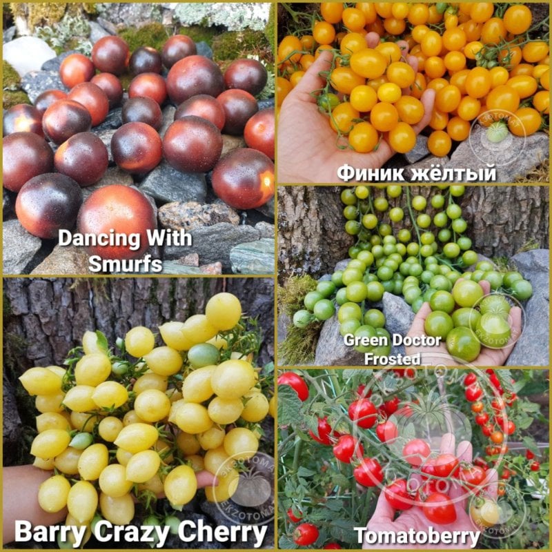 Набор: "Супер-сладкие черри"