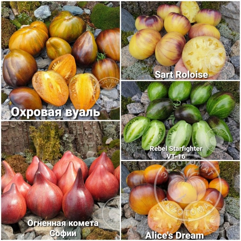   Набор: "Экзотический, тропический салат"