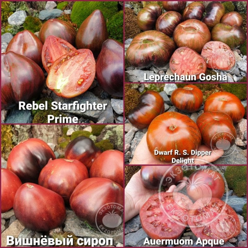 Набор: "Антоциан - самые вкусные"