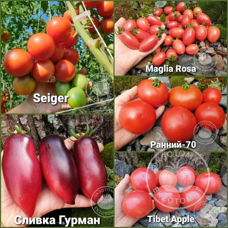 Набор: "Ранний урожай"