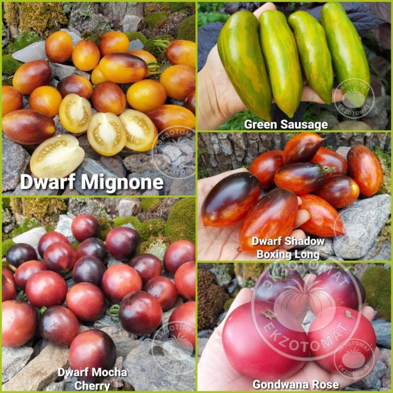 Набор: "Экзотическая баночка"