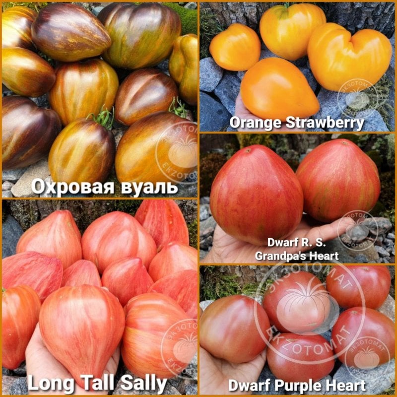 Набор: "Лучшие Сердца 2025"