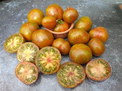 Томат «Aftershock» Томат «Aftershock»