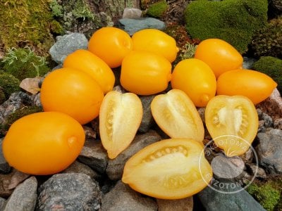  Томат «Banana Toes»