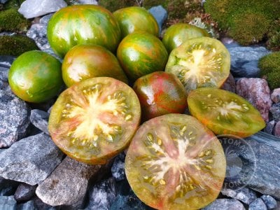 Томат «Chef Guy Gedda» Томат «Chef Guy Gedda»