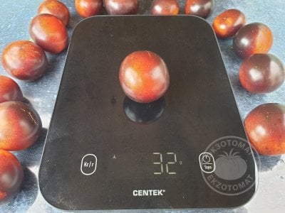 Томат «Палка синяя» Томат «Палка синяя»