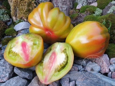 Томат Prune Ibirapuera