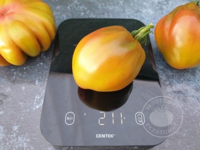 Томат Prune Ibirapuera