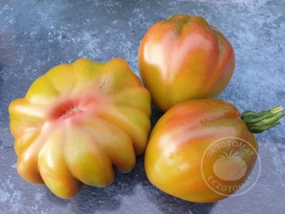 Томат Prune Ibirapuera