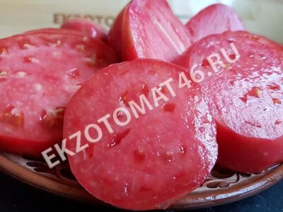 Томат «Абаканский розовый»