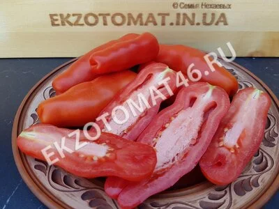 Томат «Аурия»
