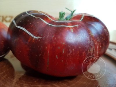 Томат «Blue Fire» Томат «Blue Fire»