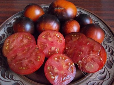 Томат «Blue Fire» Томат «Blue Fire»