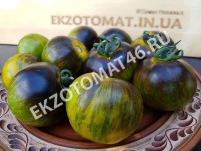 Томат «Blue Green Zebra»