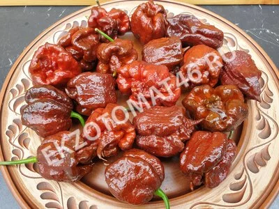 Перец «Carolina Reaper Chocolate»