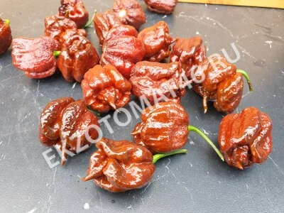 Перец «Carolina Reaper Chocolate»