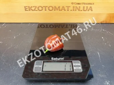 Перец «Carolina Reaper Chocolate»