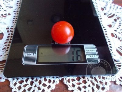 Томат «Chеrry Baby» Томат «Chеrry Baby»