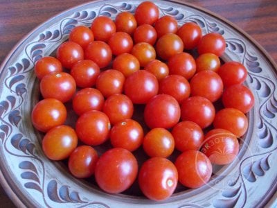 Томат «Chеrry Baby» Томат «Chеrry Baby»