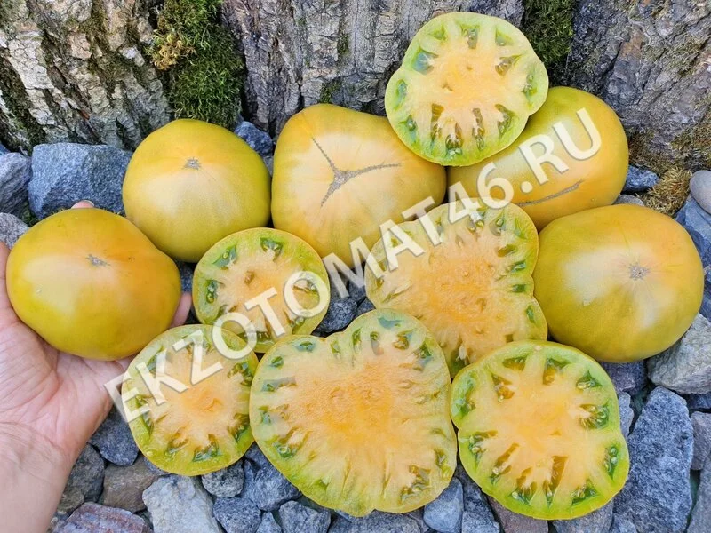 Томат «Dwarf Parfait»
