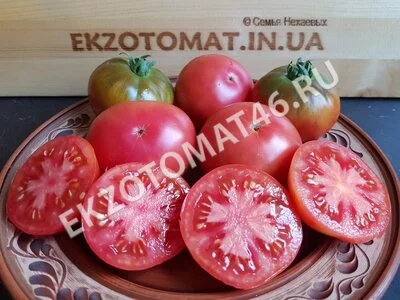 Томат «Dwarf Arctic Rose»