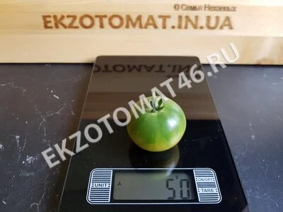 Томат «Emerald»