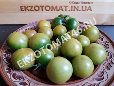Томат «Emerald»