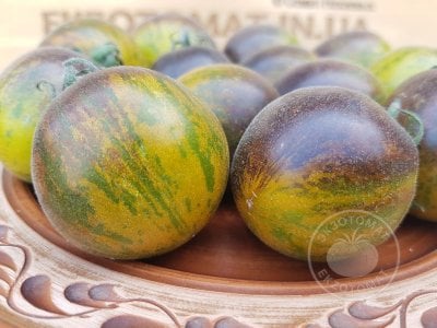 Томат «Extravagante Rouffiange green» Томат «Extravagante Rouffiange green»