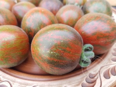 Томат «Extravagante Rouffiange» Томат «Extravagante Rouffiange»