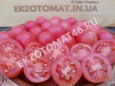 Томат «Egg From Phuket»