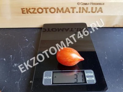 Томат «Fuzzy wuzzy»