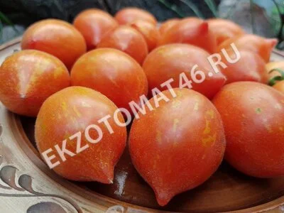 Томат «Fuzzy wuzzy»