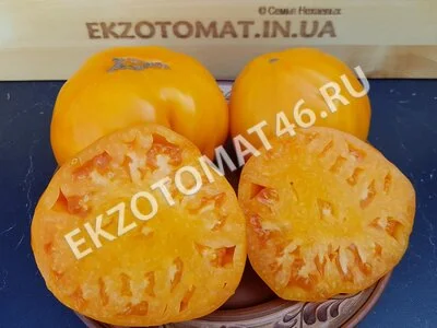  Томат «Orlov Yellow Giant»