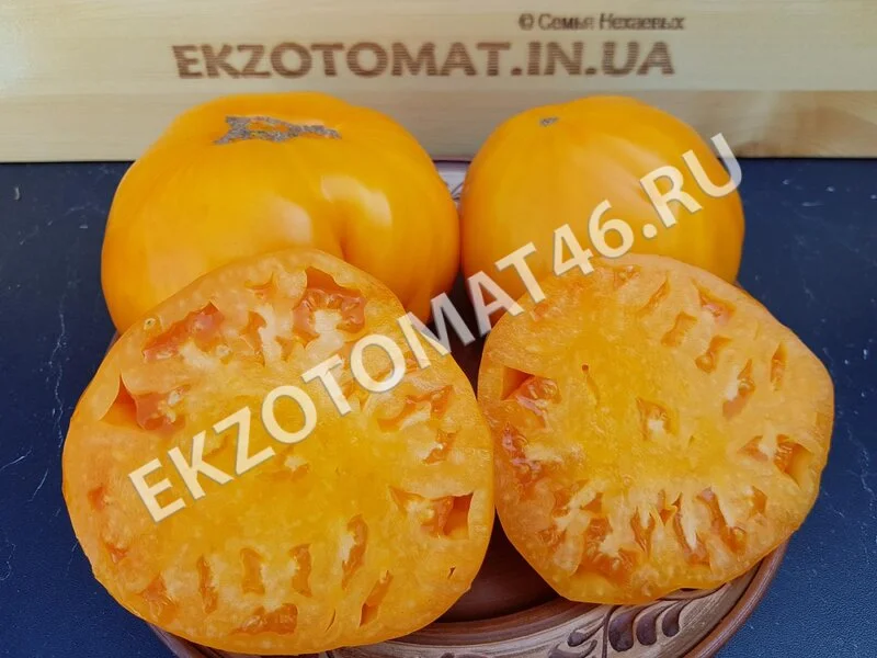  Томат «Orlov Yellow Giant»