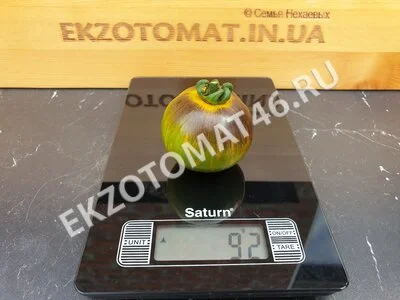 Томат «Kryptonite»