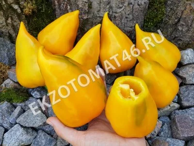 Перец «Леся оранжевая»