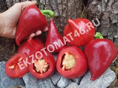 Перец «Леся»