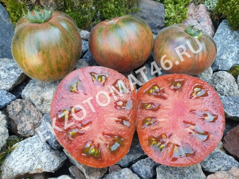 Томат «Loaghtan Woolies»