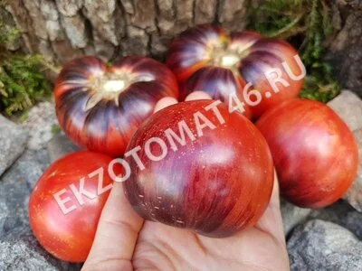 Томат «Lovely Lush»