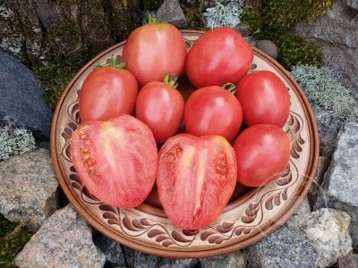 Томат «Petite Coeur de Boeuf» Томат «Petite Coeur de Boeuf»