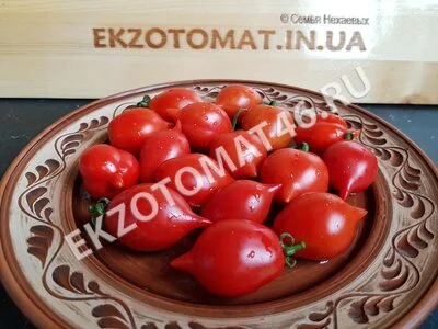 Томат «Piennolo del Vesuvio rosso»
