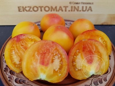 Томат «Polish Pastel» Томат «Polish Pastel»