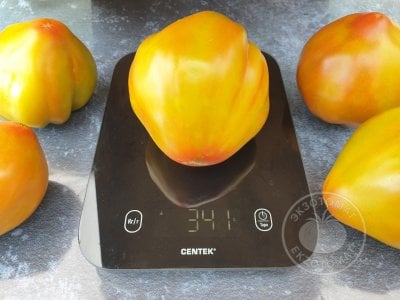 Томат Prune Ibirapuera