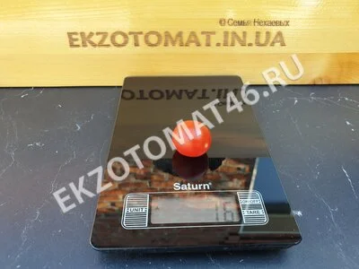 Томат «Red Robin Micro Dwarf»