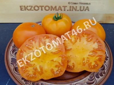 Томат «Russian Persimmon»