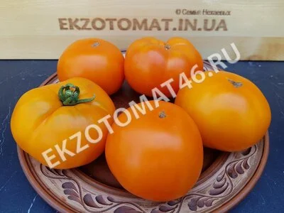 Томат «Russian Persimmon»