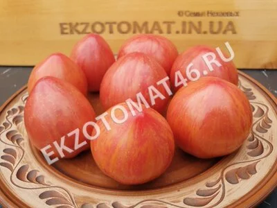 Томат «Striped Sweetheart»