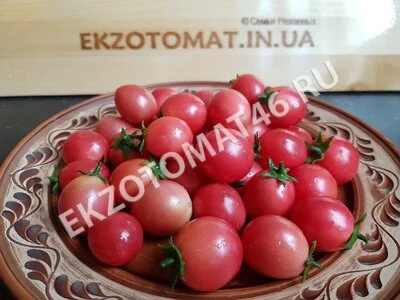 Томат «Sub-Arctic Cherry»