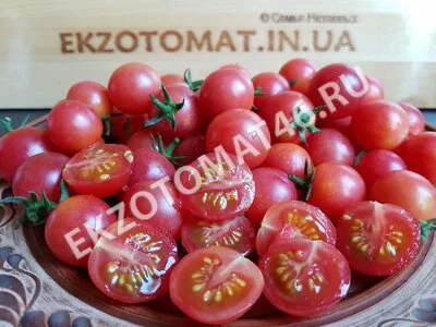 Томат «Sub-Arctic Cherry»